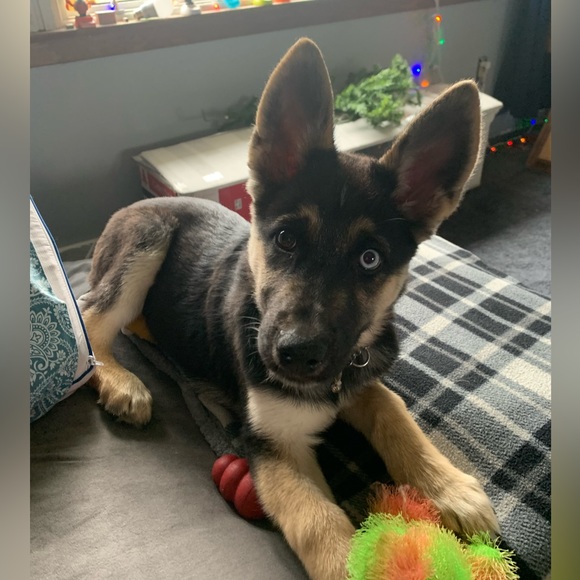 ❤️@mindyg71 💋Like to be Notified When I Go Live❤️❤️ - Picture 9 of 10